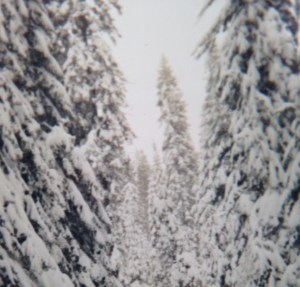 A picture from my trip to Yosemite in 1993.